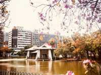 🌳🌸 Taichung Park (臺中公園) Summer Guide: A Lakeside Oasis in the City