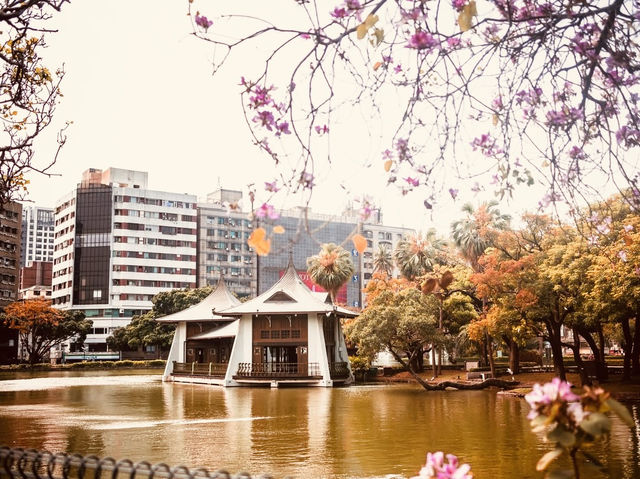 🌳🌸 Taichung Park (臺中公園) Summer Guide: A Lakeside Oasis in the City