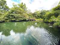 🌿【馬太鞍農園｜走進阿美族的生態智慧，在濕地裡體驗慢生活】