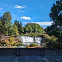 「Tumwater Falls」—静寂の中に響く滝の癒し