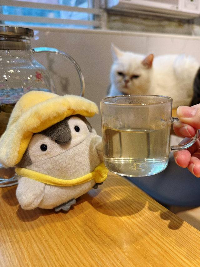 隱世工廠貓cafe