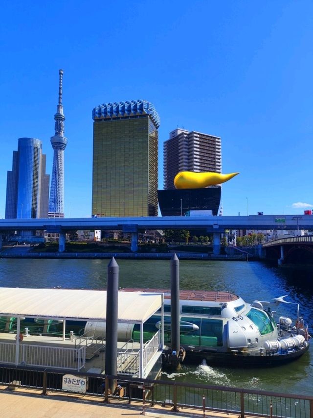 Cruise from Asakusa to Odaiba, Tokyo - Unforgettable experience!