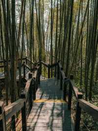 Shizhuo Homestay