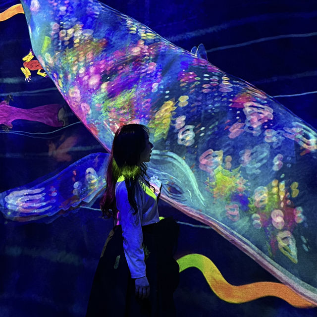 【夏のおでかけ】梅雨でも安心な室内型アートスポット💡