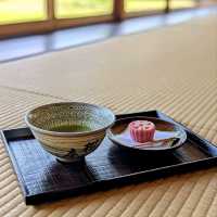 姬路 | 雙樹庵，體驗千里家正宗的茶道文化