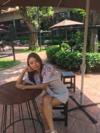 พิพิธภัณฑ์บ้านบางเขน