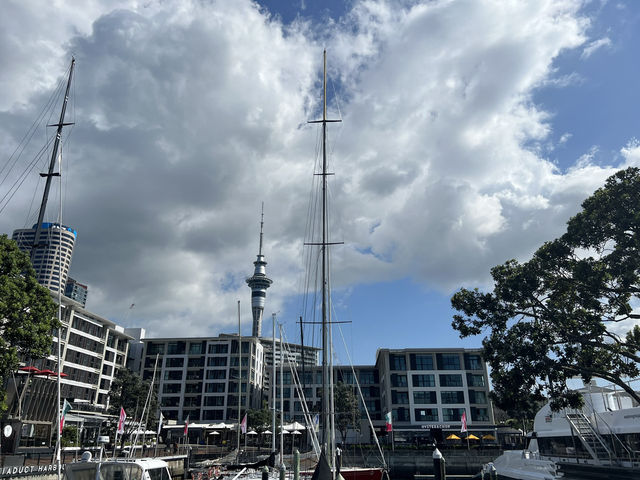 ⚓ Auckland Downtown Ferry Terminal｜渡往海灣與島嶼的起點