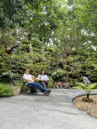 Spending a day with gigantic trees 