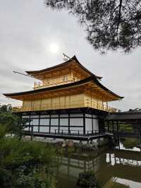 Kyoto's Golden Spell: A Morning Walk Around Kinkaku-ji