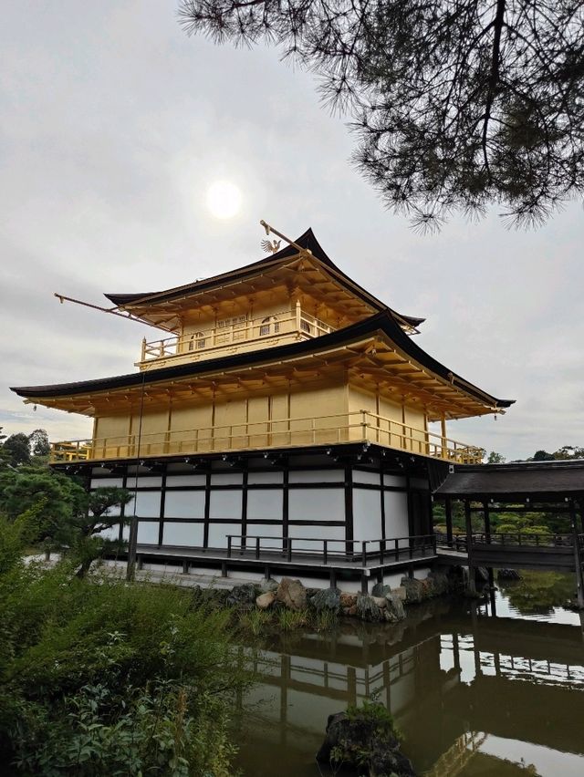 Kyoto's Golden Spell: A Morning Walk Around Kinkaku-ji