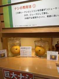 鳥取-二十世紀梨紀念館