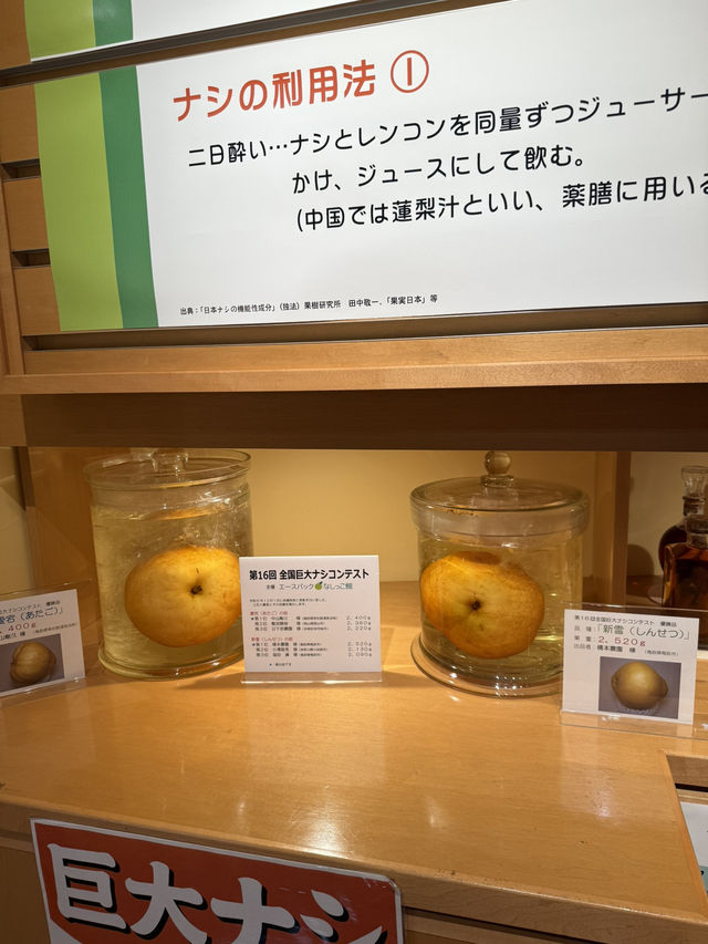鳥取-二十世紀梨紀念館
