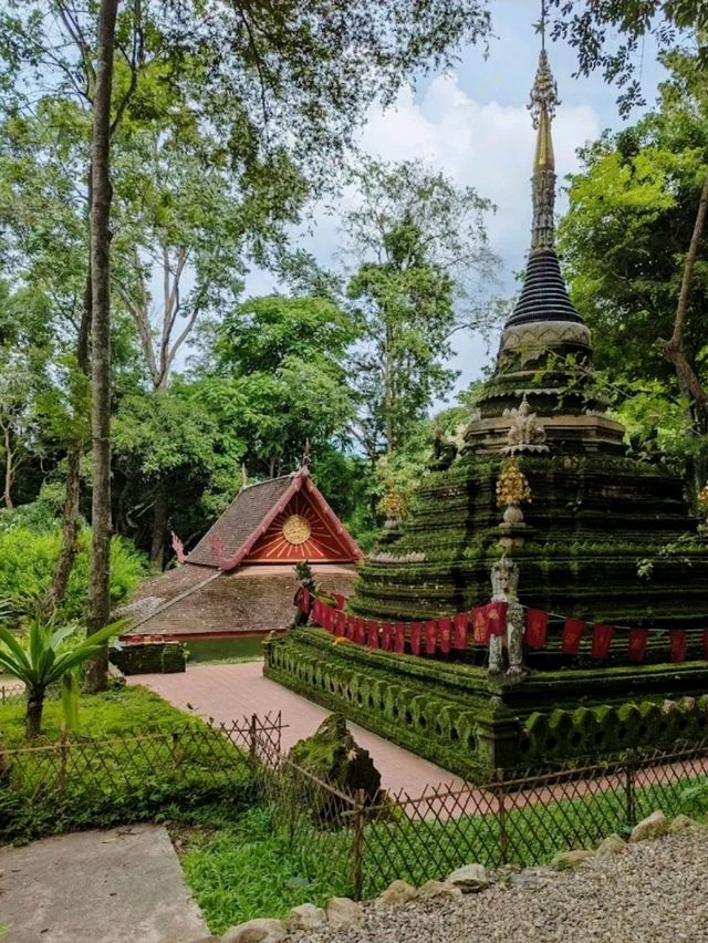วัดผาลาด วัดเก่าแก่ที่ซ่อนตัวอยู่กลางป่าดอยสุเทพ