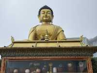 【インド・ダージリン Dali Monastery】圧巻のチベット仏教建築と出会う