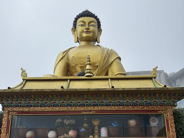 【インド・ダージリン Dali Monastery】圧巻のチベット仏教建築と出会う