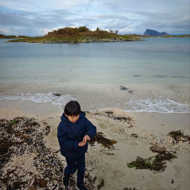 Daytime Delight: A Sommarøy Sojourn