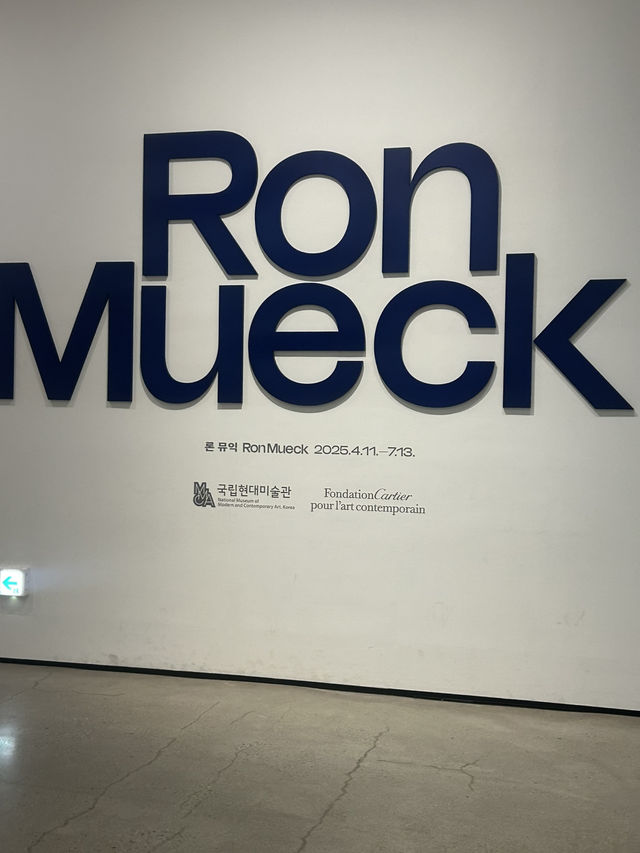 🎨 예술과 자연의 조화, 국립현대미술관 서울관
