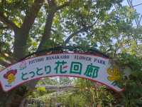 彷彿置身荷蘭的“鳥取花迴廊”🌷🌺🪴🪻