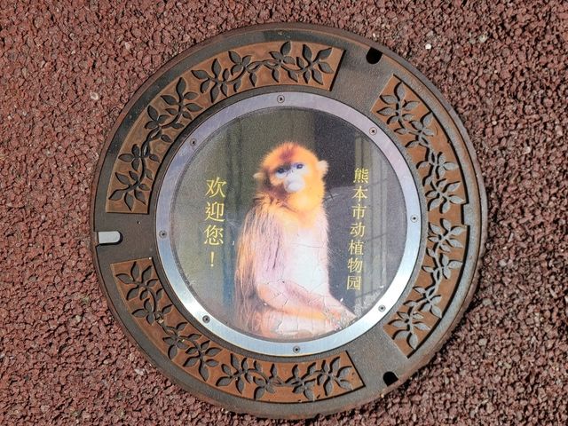 구마모토 동식물원 그리고 과학관 가이드~!!!