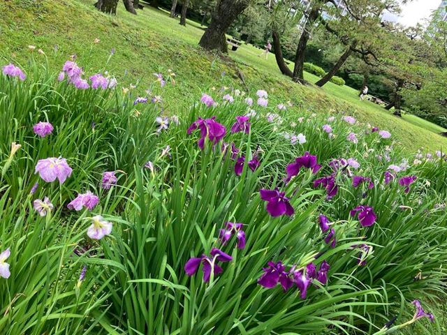 Hamarikyu Gardens