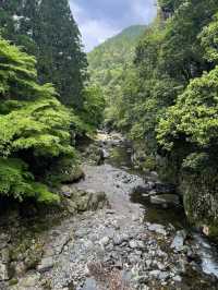  A Peaceful Hidden Hike in Kyoto – Arashiyama to Takao Nature Trail 