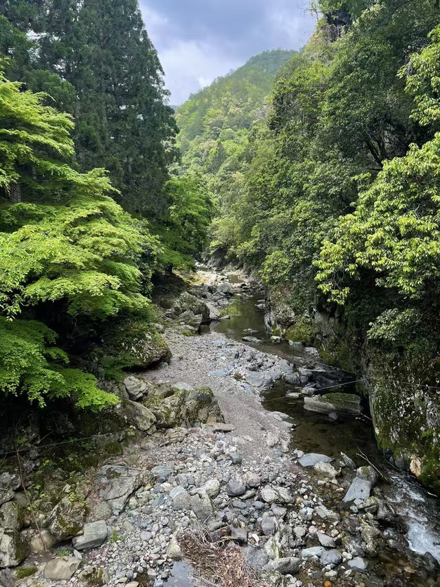  A Peaceful Hidden Hike in Kyoto – Arashiyama to Takao Nature Trail 