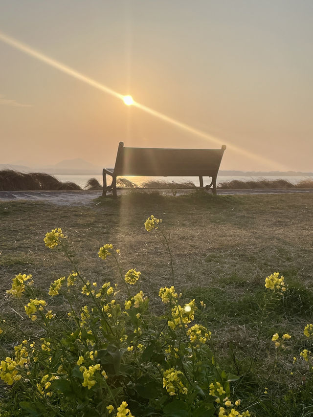 西濱白沙🏖️珊瑚海邊🪸濟州牛島八景之一！