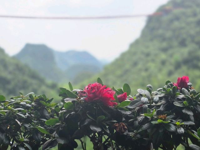 万事如意 at Ruyi Peak ⛰️😍