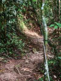 ⛰️ Bukit Kledang, Perak – Choose Your Trail, Choose Your Challenge!