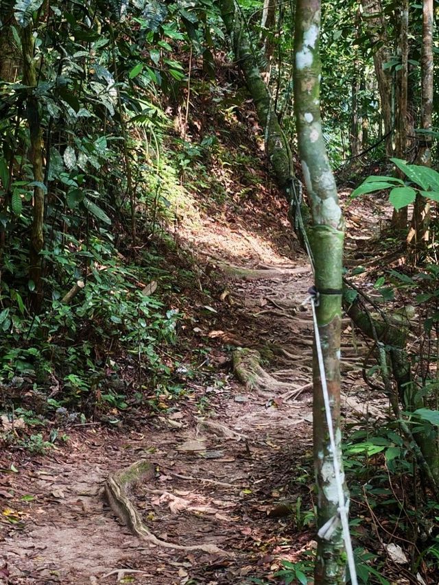 ⛰️ Bukit Kledang, Perak – Choose Your Trail, Choose Your Challenge!