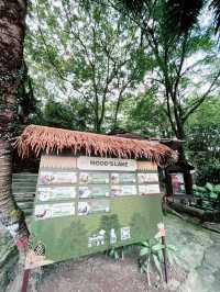 Unforgettable Summer Weekend at Farm in the City