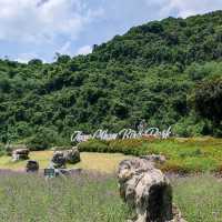 Thung Nham Bird Park (Ninh Binh)