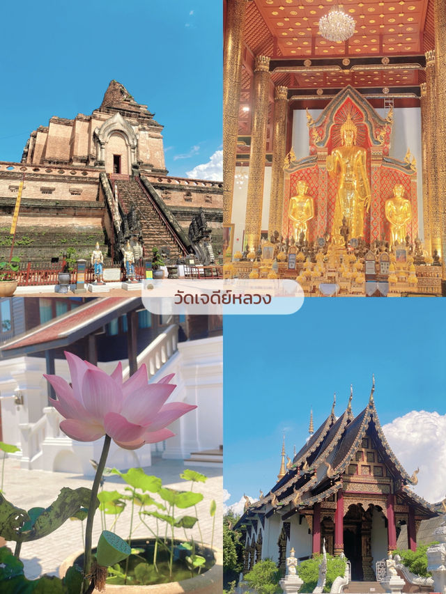 รวม 6 วัดสำหรับสายมูเชียงใหม่ ✨🙏🏻