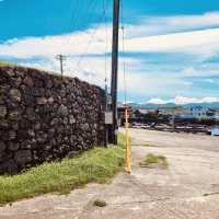 A Picturesque Stop on Jeju's Coastal Drive