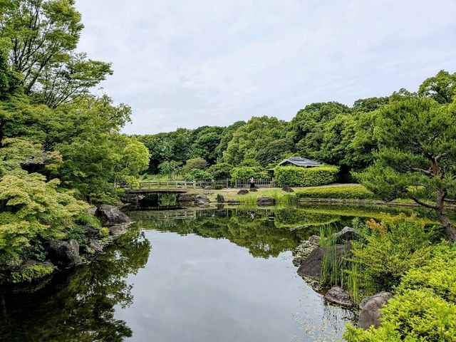 名古屋 | 白鳥庭園，是東海地區規模最大的都市庭園