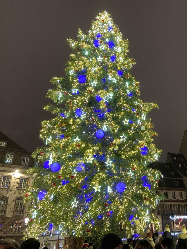 유럽 3대 크리스마스 마켓! 스트라스부르에 가다🎄