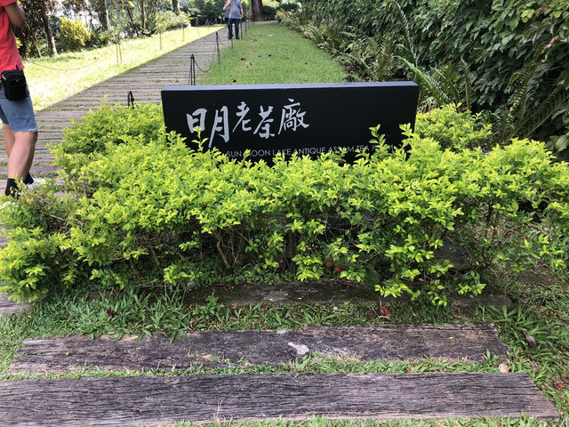 🍵 日月老茶廠｜探訪茶金取景心臟，感受紅茶飄香與歷史回音 
