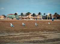 🏖️🌅 La Malvarrosa Beach