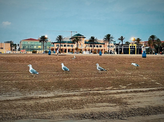 🏖️🌅 La Malvarrosa Beach