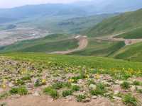 Above the Clouds: Breathing the Summit of Yunxiao Peak
