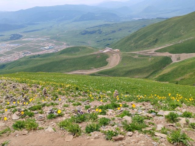 Above the Clouds: Breathing the Summit of Yunxiao Peak