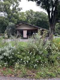 สวนอุเอโนะ (Ueno Park)