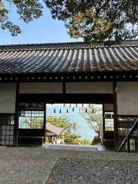 【小豆島】神秘的な空間✨富丘八幡神社