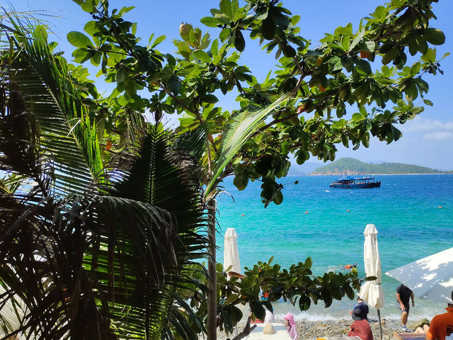 Oh, So This is What a "Jellyfish Sea" Looks Like! Welcome to Nha Trang! 🇻🇳
