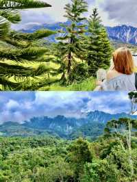 New Zealand Vibes in Sabah: A Highland Escape with Dairy Delights