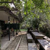 Little Contrast Cafe