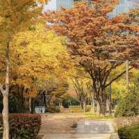 Seoul Forest Park: The Ultimate Urban Oasis for Solo Explorers"** 🌳🏙️ 