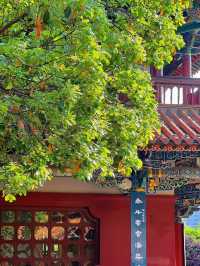 Kunming | Green Lake: The Perfect Weather to Enter China