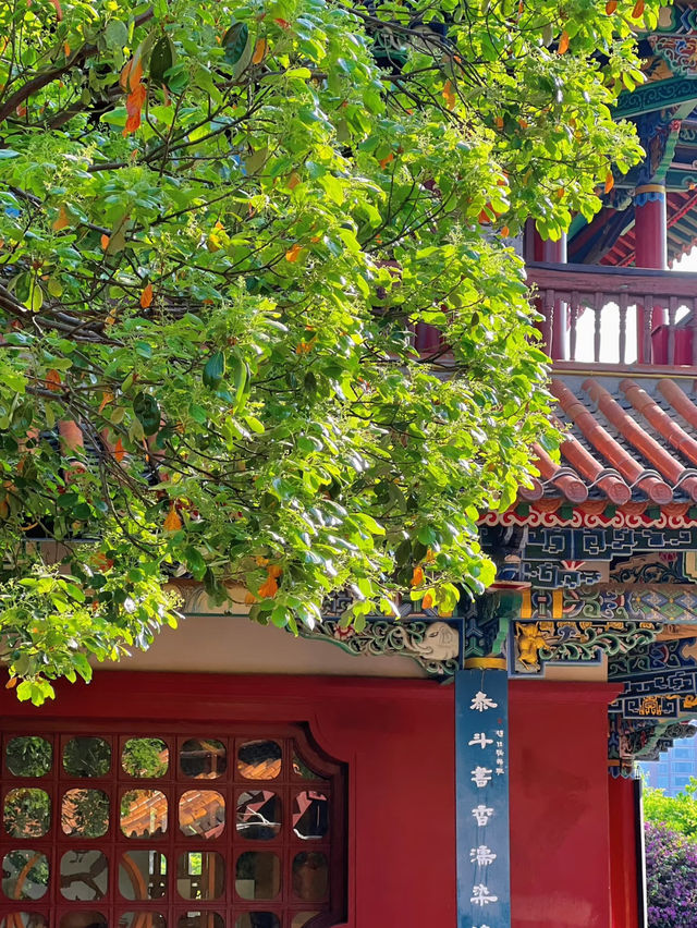 Kunming | Green Lake: The Perfect Weather to Enter China