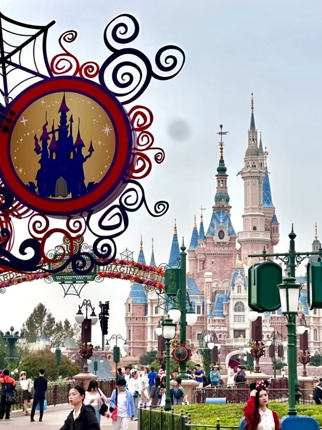 From Legends to Lanterns: Every Princess Lives Here